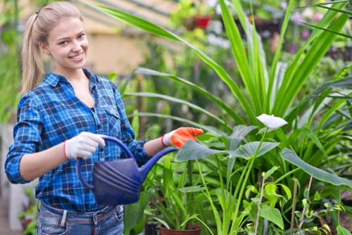 Operative preparing mower for lawn mowing in a residential garden
