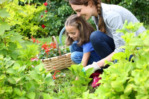 Professional lawn mowing service in Tooting
