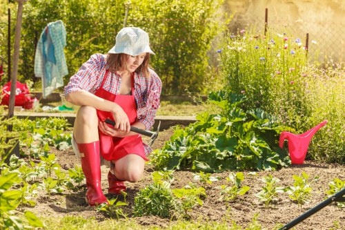Eco-friendly garden design in Tooting