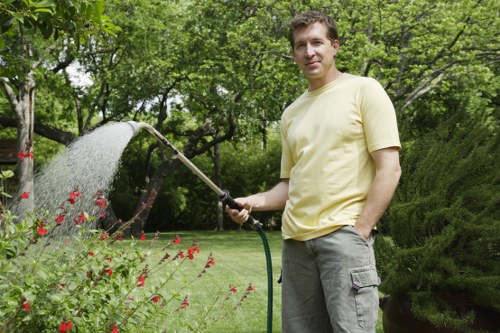 Complete tree removal service in Tooting