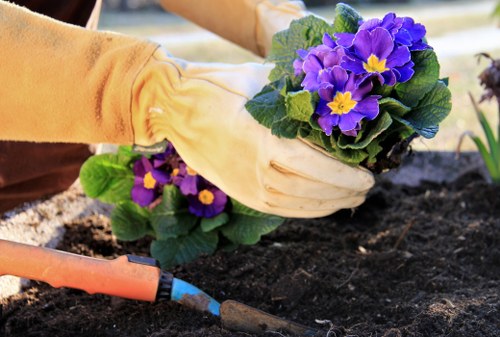 Essential gardening tools for maintenance