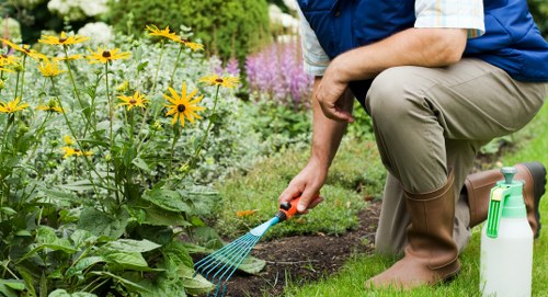 A tidy lawn ready for broader garden improvements