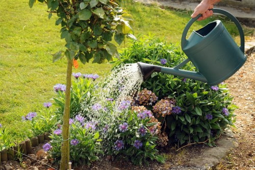 Eco-friendly garden clearance practices