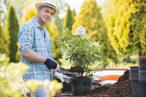 Professional landscapers working in Tooting