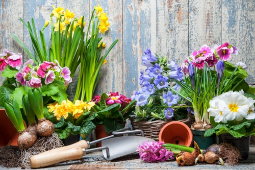 Customized outdoor spaces in Tooting